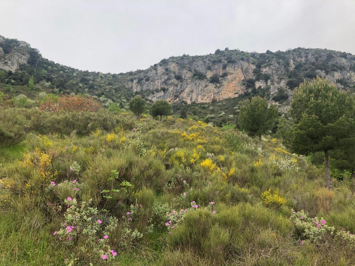"Aux Balcons Du Riou" Avec Vue Mer 180 Degres Vence Buitenkant foto