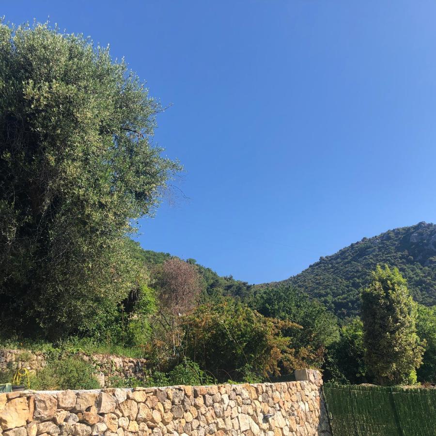 "Aux Balcons Du Riou" Avec Vue Mer 180 Degres Vence Buitenkant foto