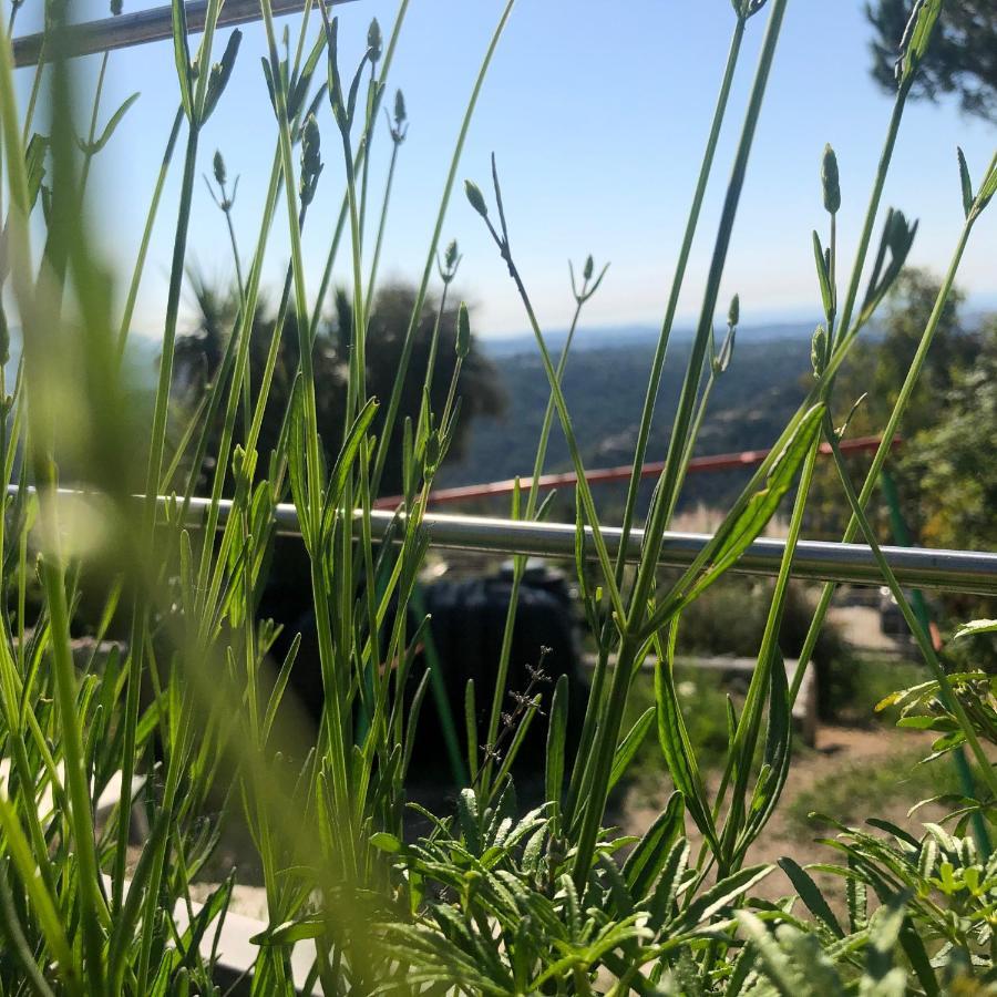 "Aux Balcons Du Riou" Avec Vue Mer 180 Degres Vence Buitenkant foto